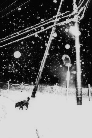 Hajim Kimura_Snowflakes Dog Man 10