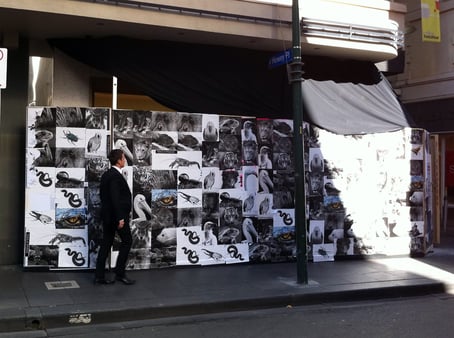 Voice Of Wildlife - Melbourne