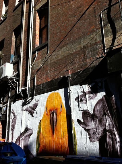 Voice Of Wildlife - Melbourne