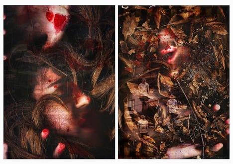 Jo Leddin APPA GOLD WINNER