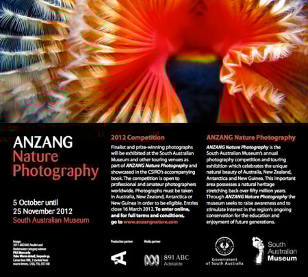 ANZANG Nature Photography