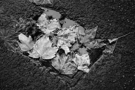 nicole_polidano_01 Nicole Polidano