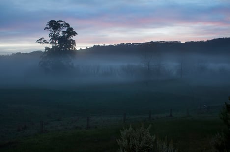 Psc Weekly Wrap: Lucy Miller