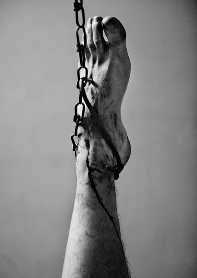 Image By Sarah Lynch