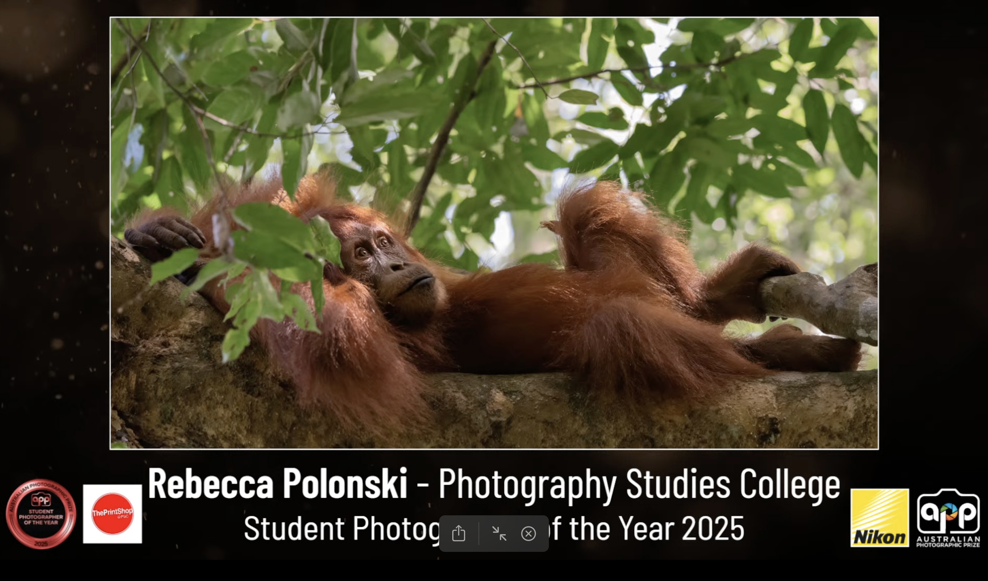 Screenshot 2025-09-30 at 4.06.59 pm