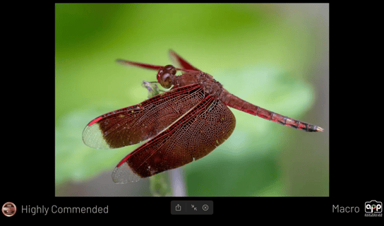 Screenshot 2025-09-30 at 4.48.48 pm